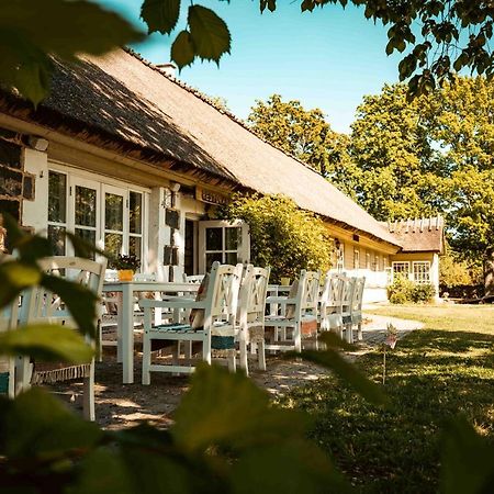 Vanatoa Taluhotell Koguva Εξωτερικό φωτογραφία